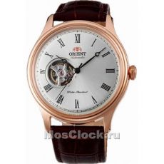 Наручные часы Orient FAG00001S0