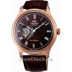 Наручные часы Orient FAG00001T0