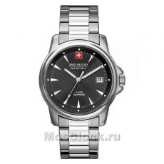 Наручные часы Swiss Military Hanowa 06-8010.04.007